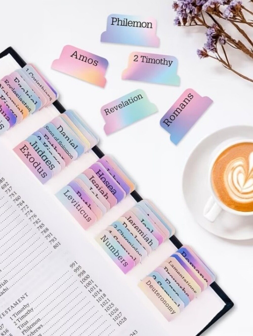 Bible Book Tabs 75 Pcs Rainbow-colored